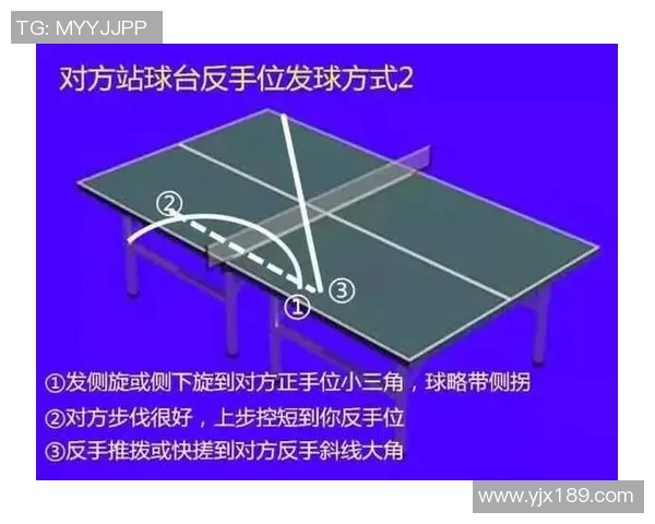 从零基础到乒乓球高手的全面提升指南与实战技巧分享