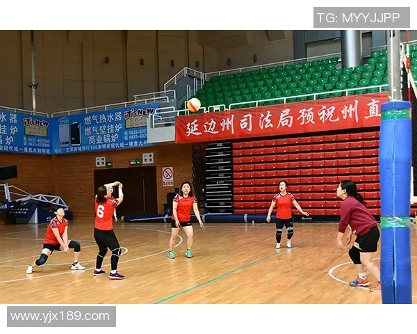 广州排球队的拼搏历程与荣耀时刻全景纪实