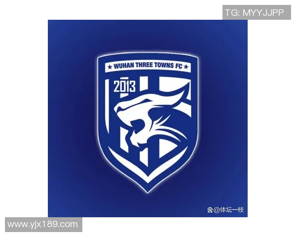 武汉足球队引领最新足球技术TOP10榜单解析